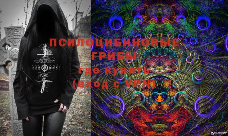 как найти закладки  mega ссылки  Галлюциногенные грибы Cubensis  Руза 